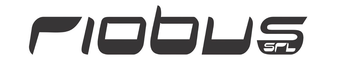 Río Bus